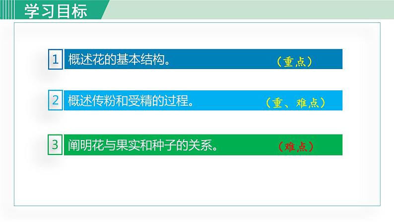 人教版七年级生物上册 第三单元 第二章 第三节 开花和结果 课件03