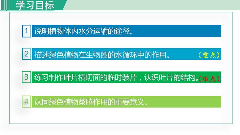 人教版七年级生物上册 第三单元 第三章 绿色植物与生物圈的水循环 课件03