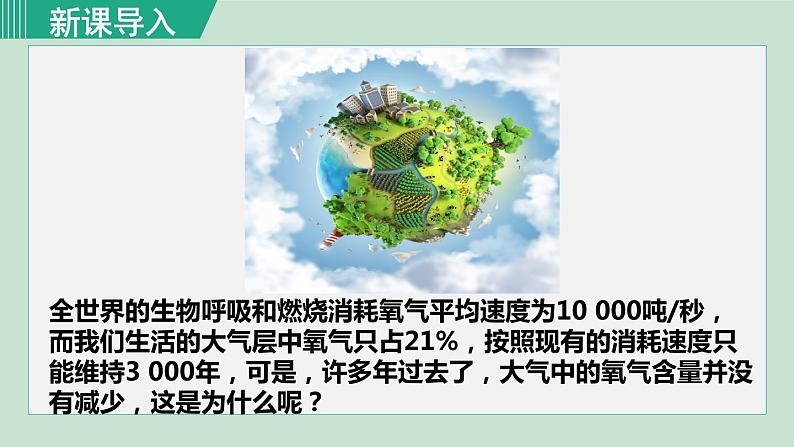 1-第一节光合作用吸收二氧化碳释放氧气第1页