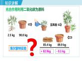 人教版七年级生物上册 第三单元 第五章 第一节 光合作用吸收二氧化碳释放氧气 课件