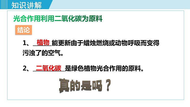 1-第一节光合作用吸收二氧化碳释放氧气第7页