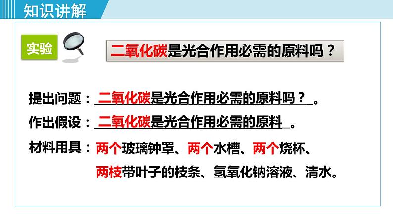 1-第一节光合作用吸收二氧化碳释放氧气第8页