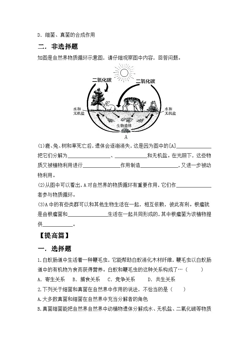【核心素养目标】人教版初中生物八年级上册5.4.4《细菌和真菌在自然界中的作用》课件+视频+教学设计+同步分层练习（含答案）02