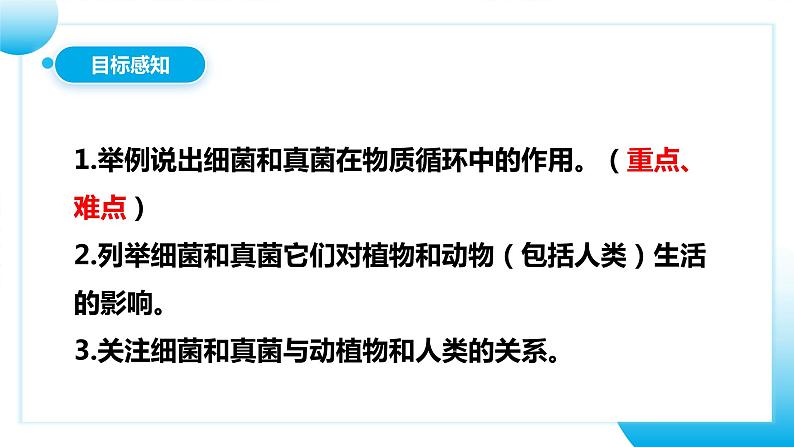 【核心素养目标】人教版初中生物八年级上册5.4.4《细菌和真菌在自然界中的作用》课件+视频+教学设计+同步分层练习（含答案）04