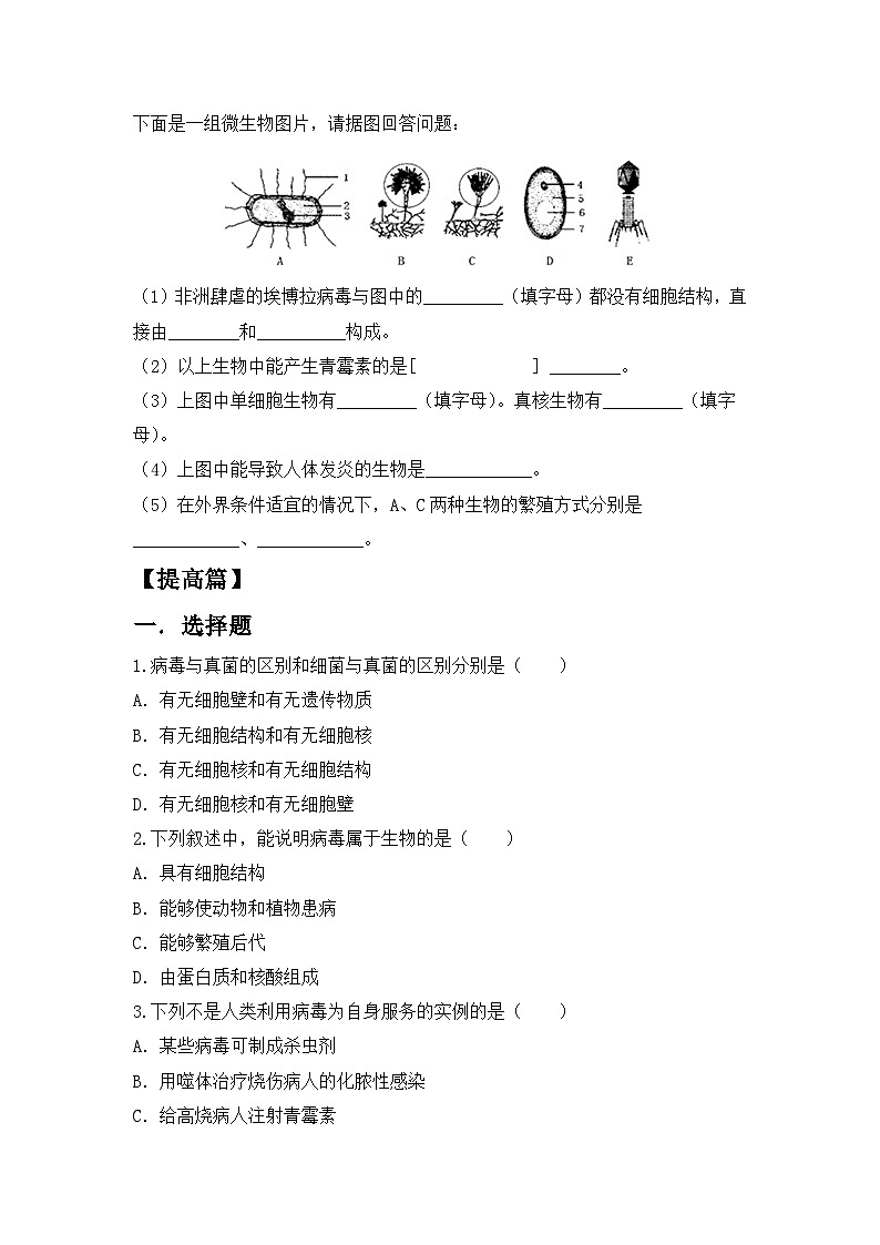 人教版初中生物八年级上册5.5《病毒》同步分层练习（含答案）第2页