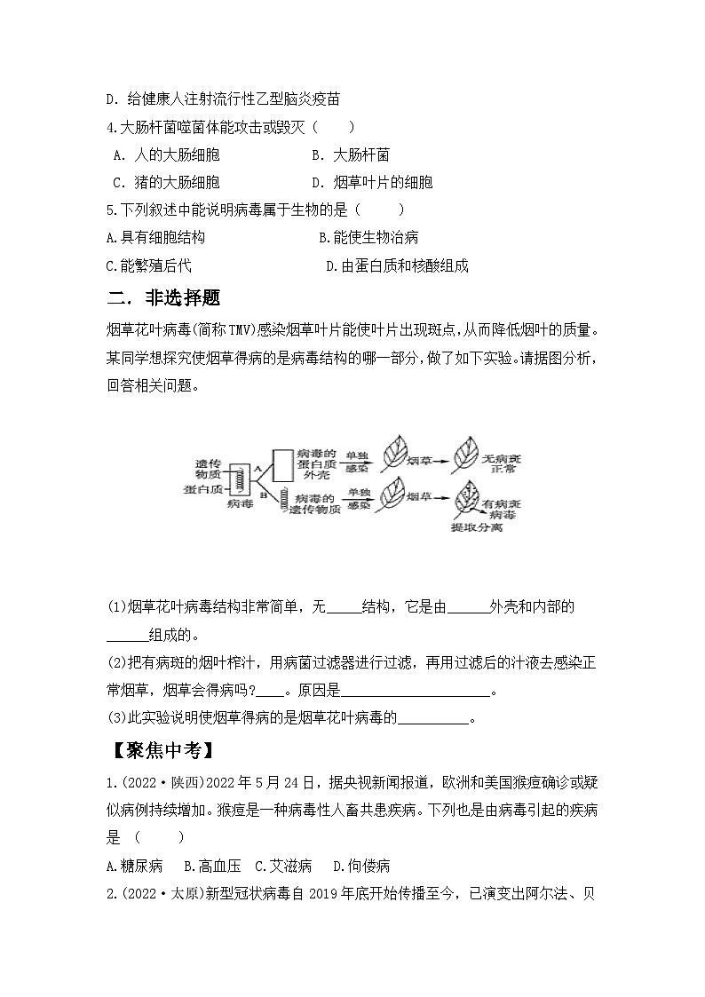 人教版初中生物八年级上册5.5《病毒》同步分层练习（含答案）第3页
