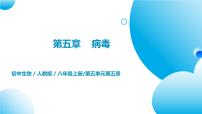 人教版 (新课标)第五章  病毒优质习题ppt课件