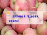 人教版八年级上册生物 5.4.2 细菌 课件