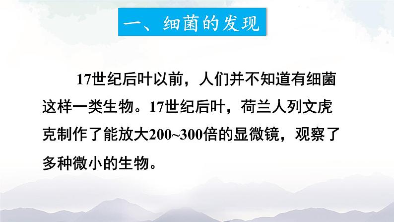 人教版八年级上册生物 5.4.2 细菌 课件04