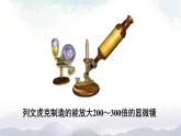 人教版八年级上册生物 5.4.2 细菌 课件