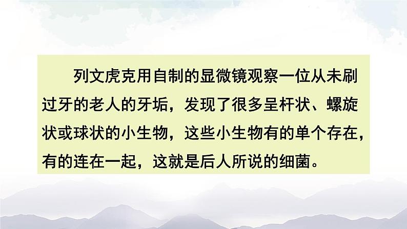 人教版八年级上册生物 5.4.2 细菌 课件06