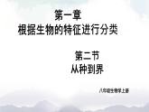 人教版八年级上册生物 6.1.2 从种到界 课件