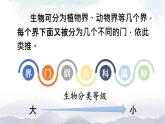 人教版八年级上册生物 6.1.2 从种到界 课件