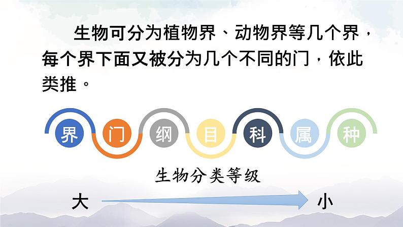 人教版八年级上册生物 6.1.2 从种到界 课件04