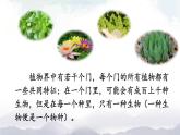 人教版八年级上册生物 6.1.2 从种到界 课件