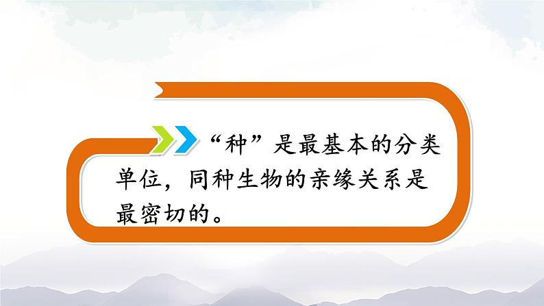 人教版八年级上册生物 6.1.2 从种到界 课件06