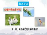 人教版八年級上冊生物 6.2 認識生物的多樣性 課件+素材