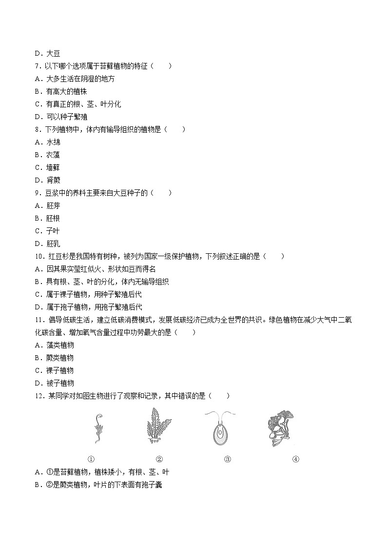 （人教版）初中生物七年级上册 第三单元第一章生物圈中有哪些绿色植物   综合测试第2页