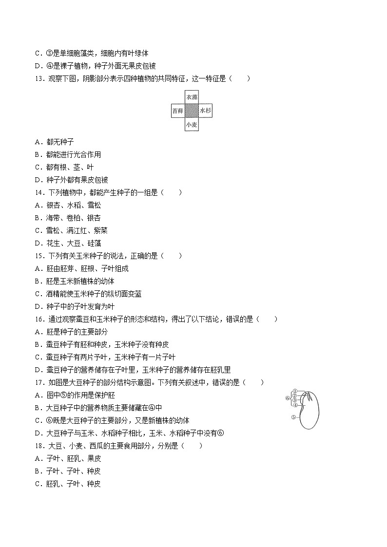 （人教版）初中生物七年级上册 第三单元第一章生物圈中有哪些绿色植物   综合测试第3页