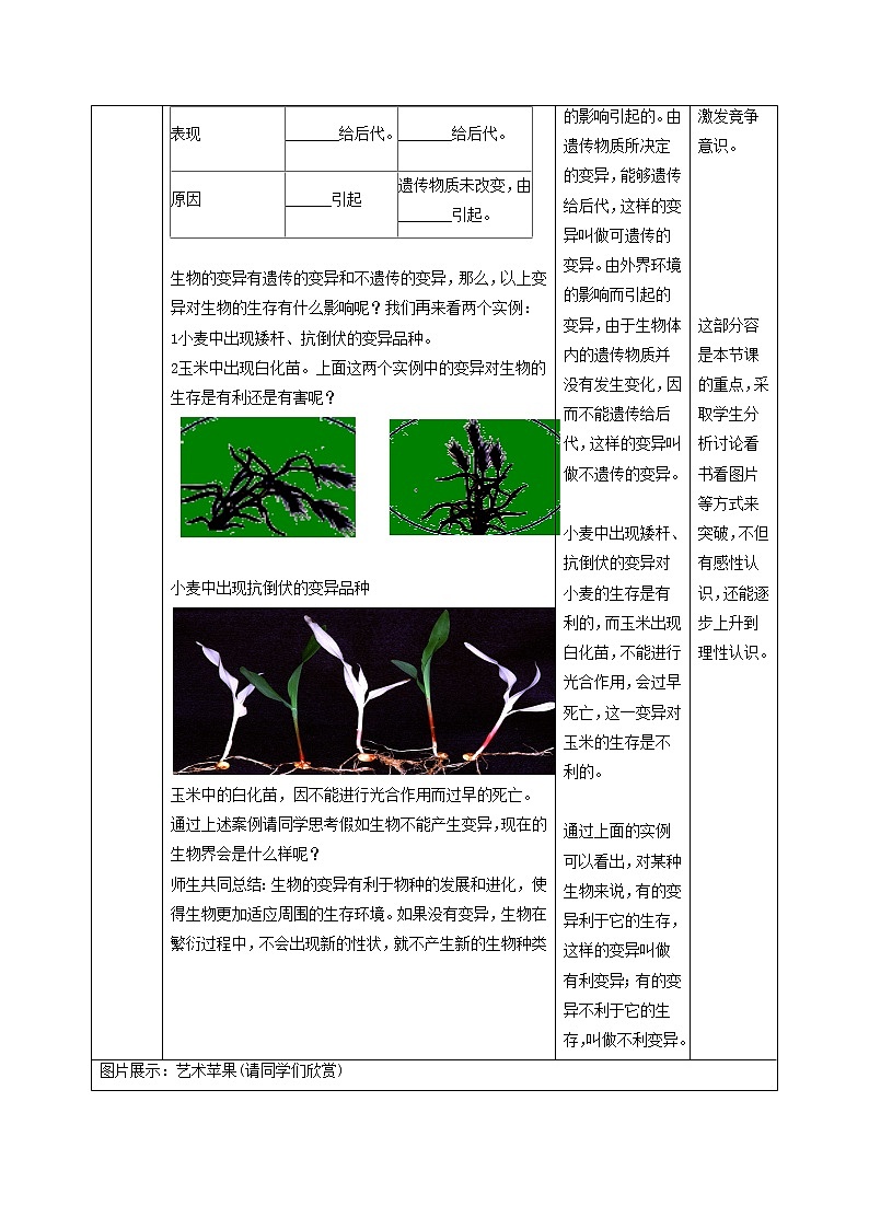 北京版初中生物八年级上册11.4《生物的变异》教案第3页
