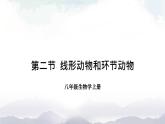 人教版八年級(jí)上冊(cè)生物 5.1.2 線形動(dòng)物和環(huán)節(jié)動(dòng)物 課件+素材