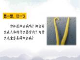 人教版八年級(jí)上冊(cè)生物 5.1.2 線形動(dòng)物和環(huán)節(jié)動(dòng)物 課件+素材