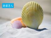 人教版八年级上册生物 5.1.3 软体动物和节肢动物 课件