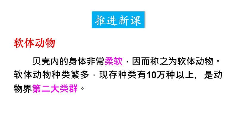 人教版八年级上册生物 5.1.3 软体动物和节肢动物 课件06