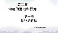 初中生物人教版 (新课标)八年级上册第一节 动物的运动优秀ppt课件