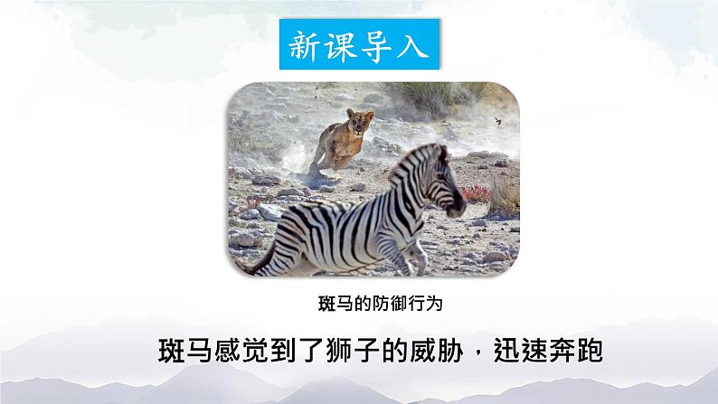 人教版八年级上册生物 5.2.1 动物的运动 课件+素材02