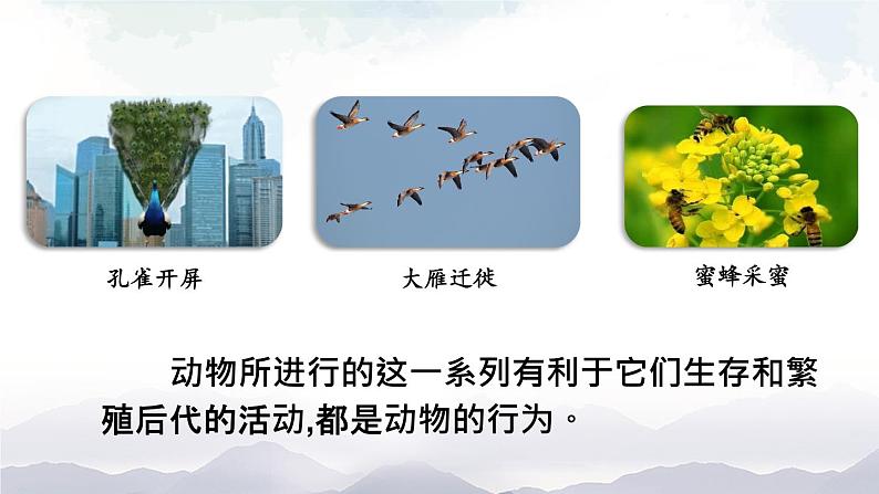 人教版八年级上册生物 5.2.1 动物的运动 课件+素材03