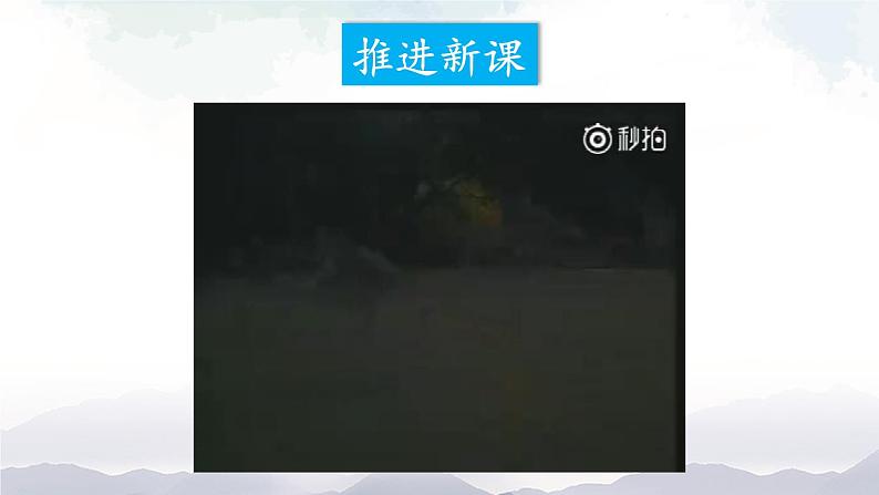 人教版八年级上册生物 5.2.1 动物的运动 课件+素材04