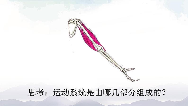 人教版八年级上册生物 5.2.1 动物的运动 课件+素材06