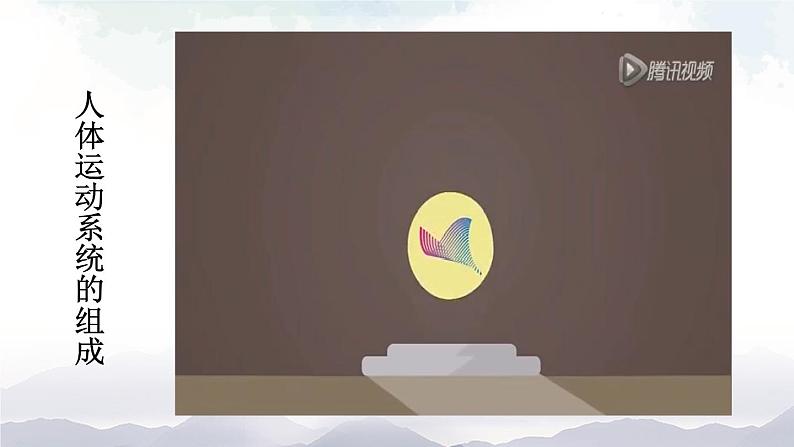 人教版八年级上册生物 5.2.1 动物的运动 课件+素材07