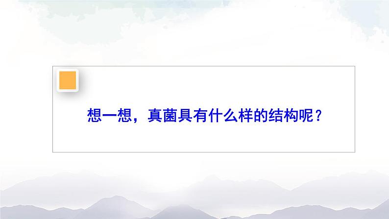 人教版八年级上册生物 5.4.3 真菌 课件+素材07