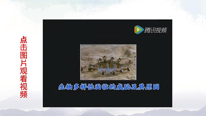 人教版八年级上册生物 6.3 保护生物的多样性 课件+教案+素材08