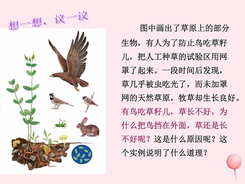 七年级生物上册第一单元第二章第二节生物与环境组成生态系统课件第2页