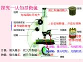 七年级生物上册第二单元第一章第一节练习使用显微镜课件