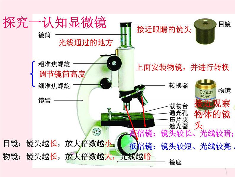 七年级生物上册第二单元第一章第一节练习使用显微镜课件04