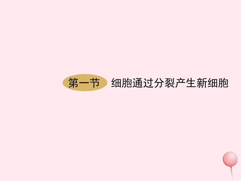 七年级生物上册第二单元第二章第一节细胞通过分裂产生新细胞课件01