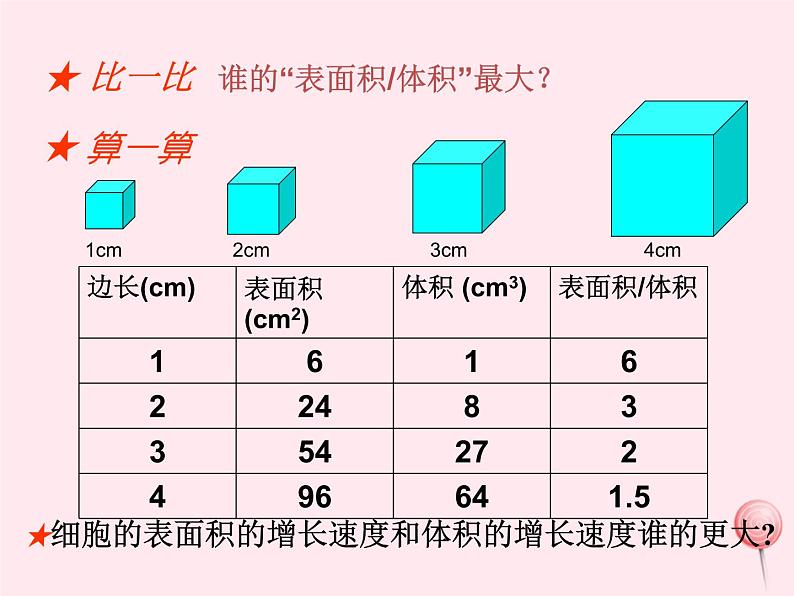 七年级生物上册第二单元第二章第一节细胞通过分裂产生新细胞课件06