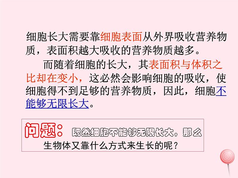 七年级生物上册第二单元第二章第一节细胞通过分裂产生新细胞课件07