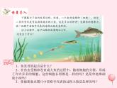 七年级生物上册第二单元第二章第二节动物体的结构层次课件2（新版）新人教版