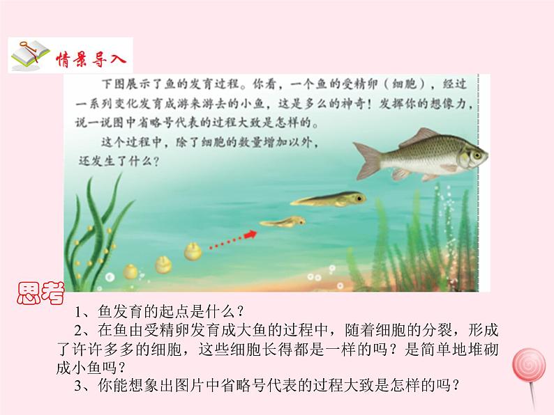 七年级生物上册第二单元第二章第二节动物体的结构层次课件2（新版）新人教版第2页