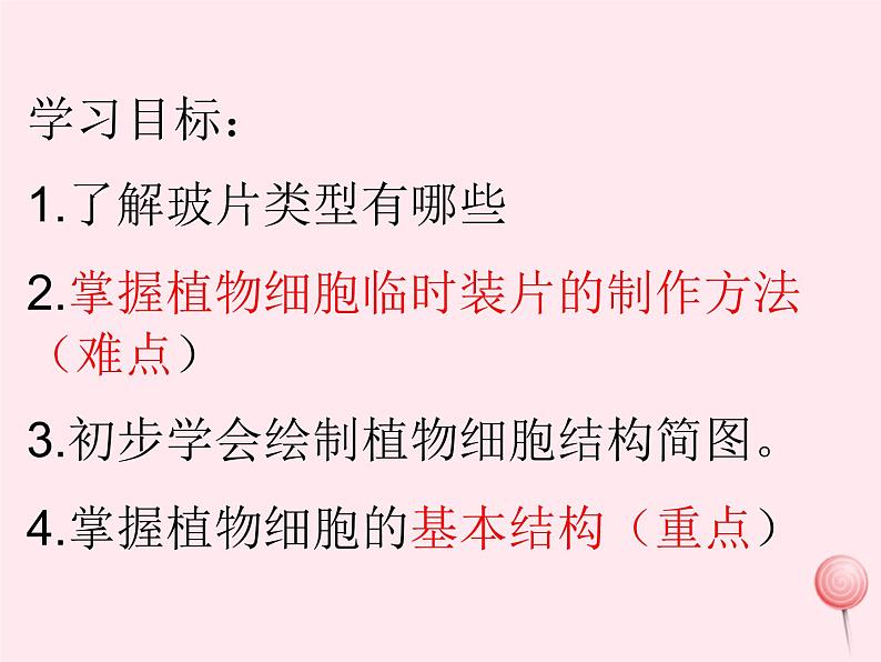 七年级生物上册第二单元第一章第二节植物细胞课件03