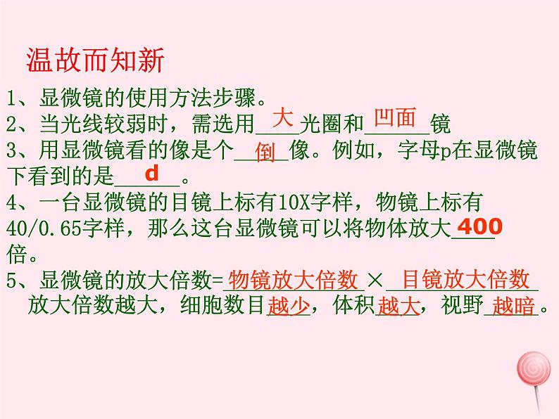 七年级生物上册第二单元第一章第二节植物细胞课件04