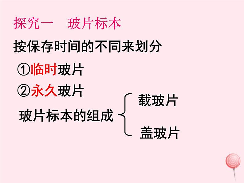 七年级生物上册第二单元第一章第二节植物细胞课件07