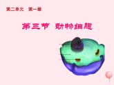 七年级生物上册第二单元第一章第三节动物细胞课件