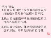 七年级生物上册第二单元第一章第三节动物细胞课件
