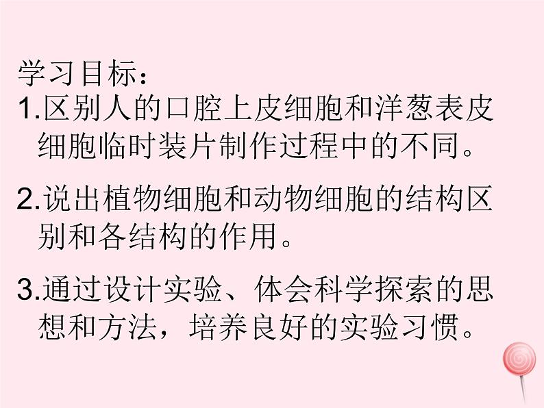 七年级生物上册第二单元第一章第三节动物细胞课件03